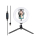 Akcesoria Foto Puluz LED 20cm z uchwytem na telefon